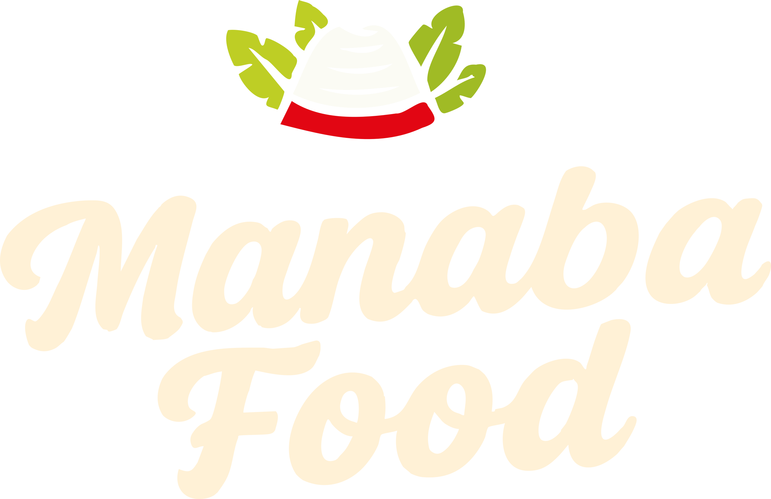 E-Commerce Revolution